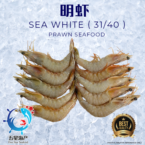 【Prawn】 SEAWHITE (31/40)  700g