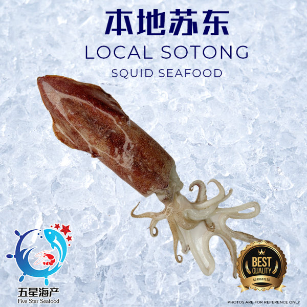Local Sotong 400g - 490g (1pcs)
